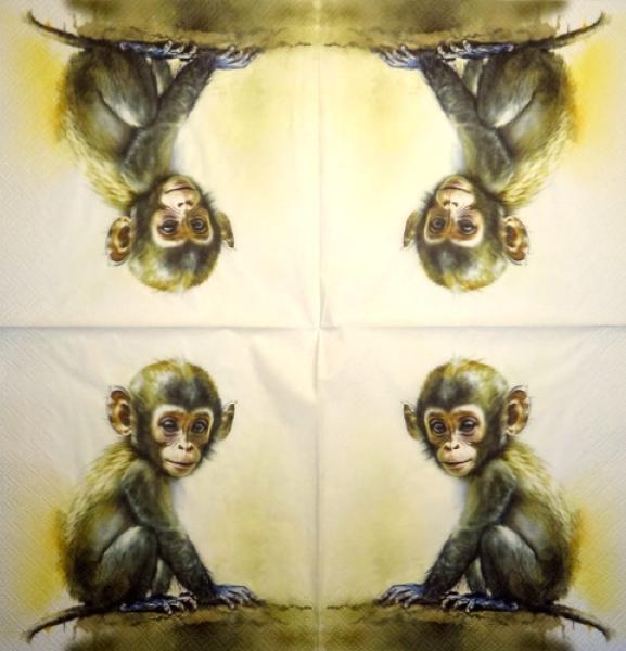 155 Animals Africa: Divers - 4-ply - Sniff - Handkerchief